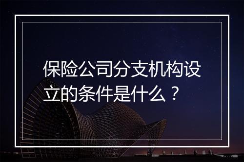 保险公司分支机构设立的条件是什么？