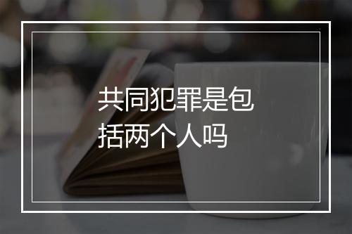 共同犯罪是包括两个人吗