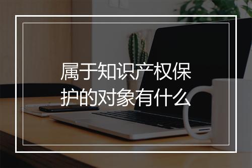 属于知识产权保护的对象有什么