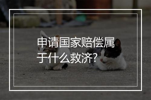 申请国家赔偿属于什么救济?