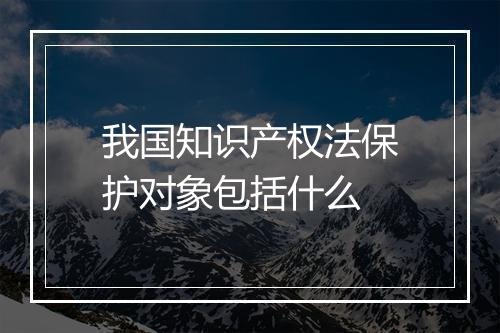 我国知识产权法保护对象包括什么