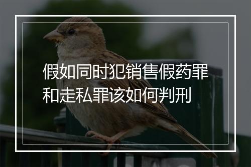 假如同时犯销售假药罪和走私罪该如何判刑