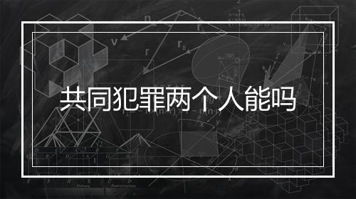 共同犯罪两个人能吗