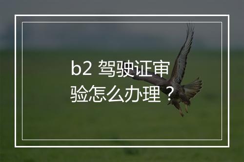 b2 驾驶证审验怎么办理？