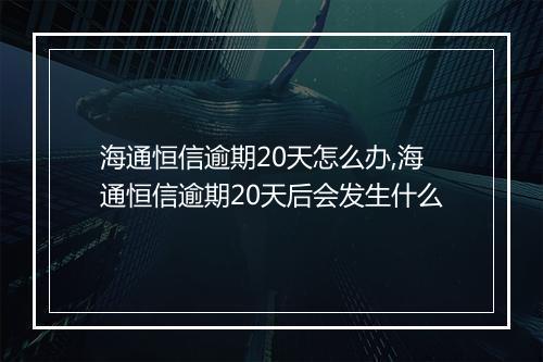 海通恒信逾期20天怎么办,海通恒信逾期20天后会发生什么