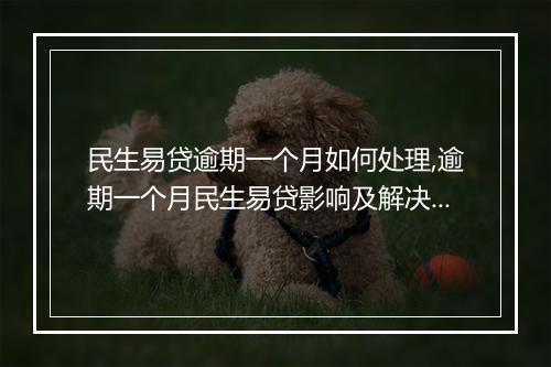 民生易贷逾期一个月如何处理,逾期一个月民生易贷影响及解决办法