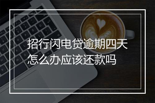 招行闪电贷逾期四天怎么办应该还款吗