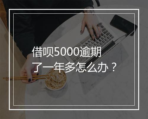 借呗5000逾期了一年多怎么办？
