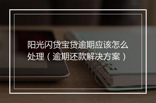 阳光闪贷宝贷逾期应该怎么处理（逾期还款解决方案）