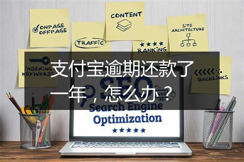 支付宝逾期还款了一年，怎么办？
