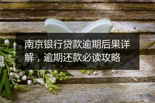 南京银行贷款逾期后果详解，逾期还款必读攻略