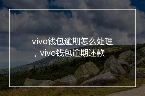 vivo钱包逾期怎么处理，vivo钱包逾期还款