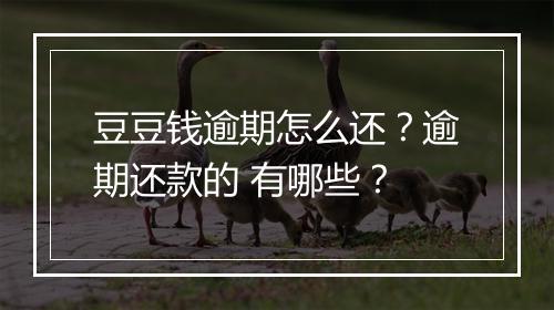 豆豆钱逾期怎么还？逾期还款的 有哪些？