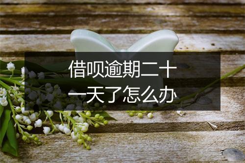 借呗逾期二十一天了怎么办