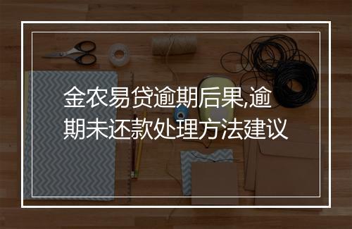 金农易贷逾期后果,逾期未还款处理方法建议