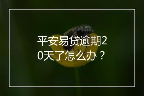 平安易贷逾期20天了怎么办？