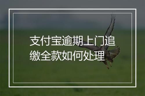 支付宝逾期上门追缴全款如何处理