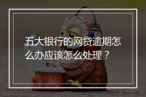 五大银行的网贷逾期怎么办应该怎么处理？
