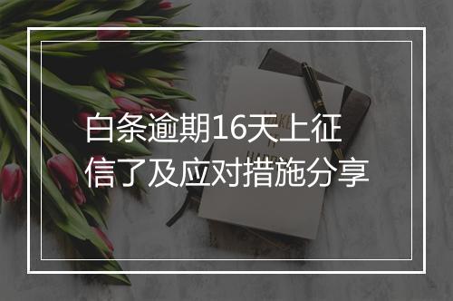 白条逾期16天上征信了及应对措施分享