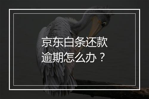 京东白条还款逾期怎么办？