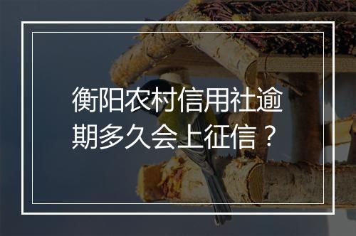 衡阳农村信用社逾期多久会上征信？
