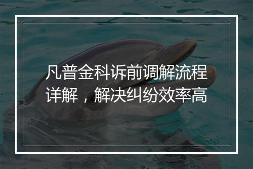 凡普金科诉前调解流程详解，解决纠纷效率高