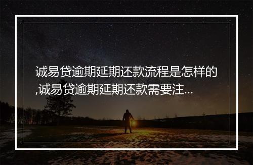 诚易贷逾期延期还款流程是怎样的,诚易贷逾期延期还款需要注意什么
