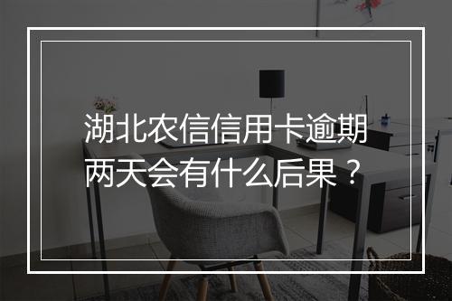 湖北农信信用卡逾期两天会有什么后果？