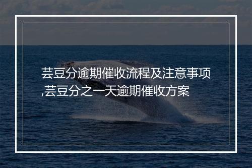 芸豆分逾期催收流程及注意事项,芸豆分之一天逾期催收方案