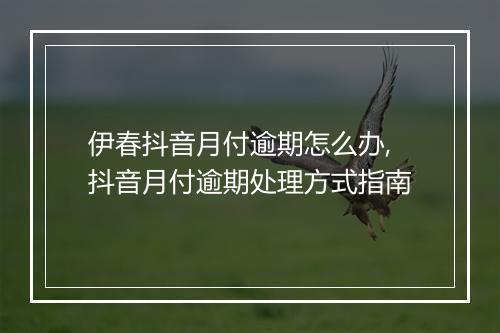 伊春抖音月付逾期怎么办,抖音月付逾期处理方式指南