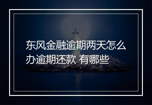 东风金融逾期两天怎么办逾期还款 有哪些