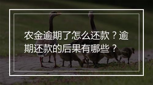 农金逾期了怎么还款？逾期还款的后果有哪些？