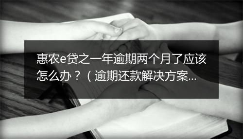 惠农e贷之一年逾期两个月了应该怎么办？（逾期还款解决方案）