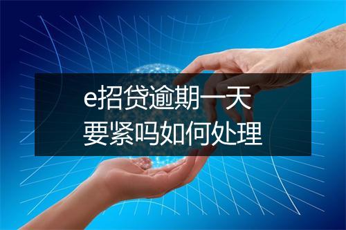 e招贷逾期一天要紧吗如何处理