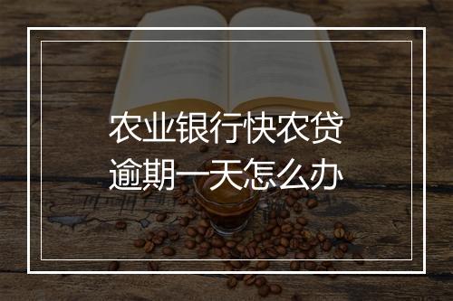 农业银行快农贷逾期一天怎么办