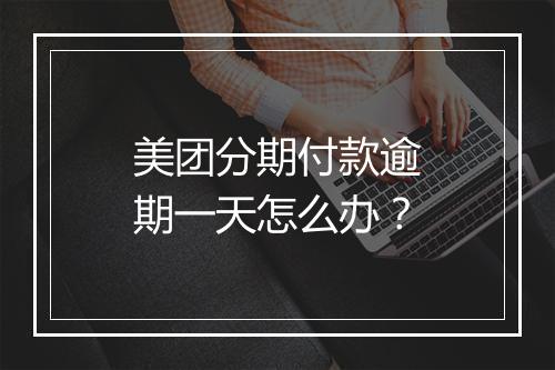 美团分期付款逾期一天怎么办？