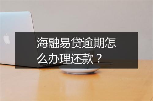 海融易贷逾期怎么办理还款？