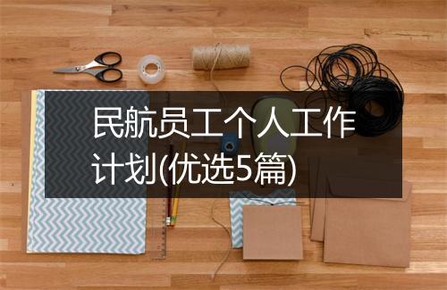 民航员工个人工作计划(优选5篇)