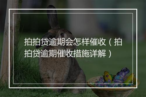 拍拍贷逾期会怎样催收（拍拍贷逾期催收措施详解）