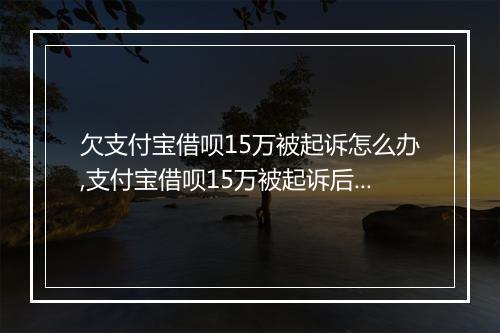 欠支付宝借呗15万被起诉怎么办,支付宝借呗15万被起诉后果及解决