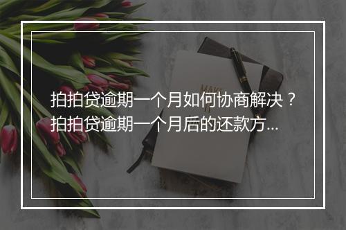拍拍贷逾期一个月如何协商解决？拍拍贷逾期一个月后的还款方案