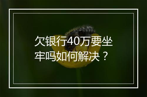 欠银行40万要坐牢吗如何解决？