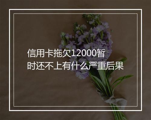 信用卡拖欠12000暂时还不上有什么严重后果