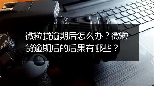 微粒贷逾期后怎么办？微粒贷逾期后的后果有哪些？