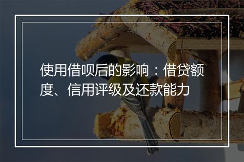 使用借呗后的影响：借贷额度、信用评级及还款能力