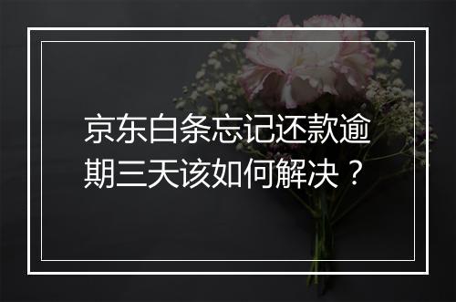 京东白条忘记还款逾期三天该如何解决？