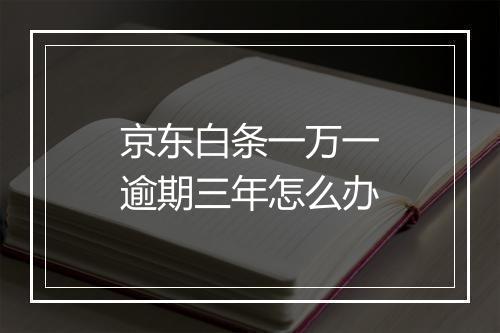 京东白条一万一逾期三年怎么办