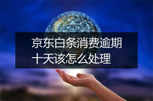 京东白条消费逾期十天该怎么处理