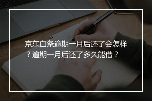 京东白条逾期一月后还了会怎样？逾期一月后还了多久能借？