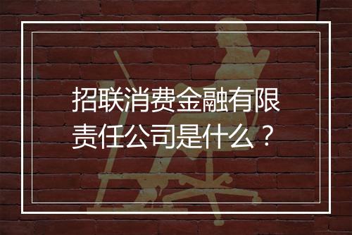 招联消费金融有限责任公司是什么？